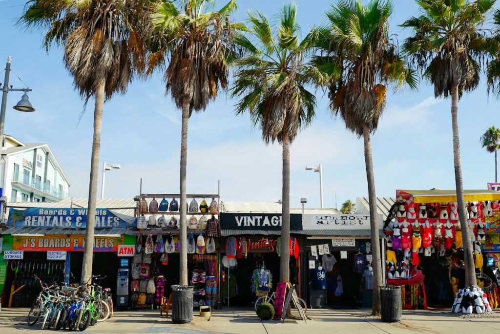 Venice beach: palme, negozi tipici e arte