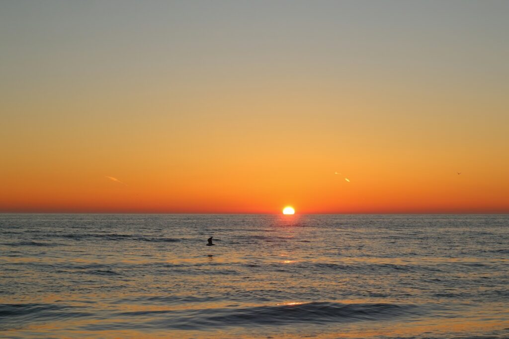 Tramonto da sogno sulla spiaggia di Coronado a San Diego