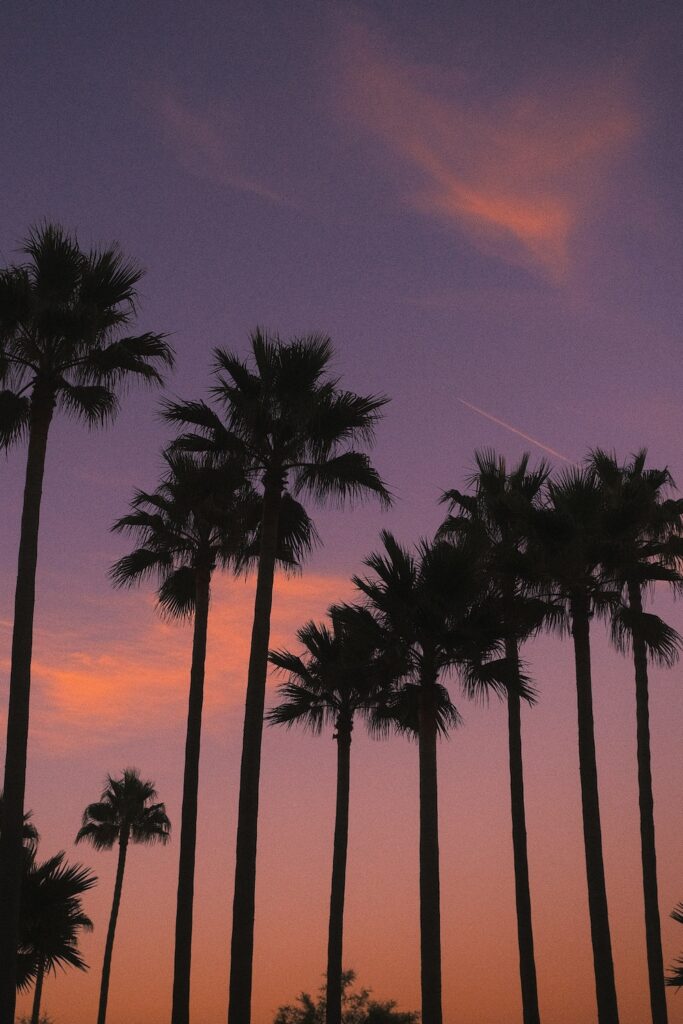 Tramonto californiano a San Diego