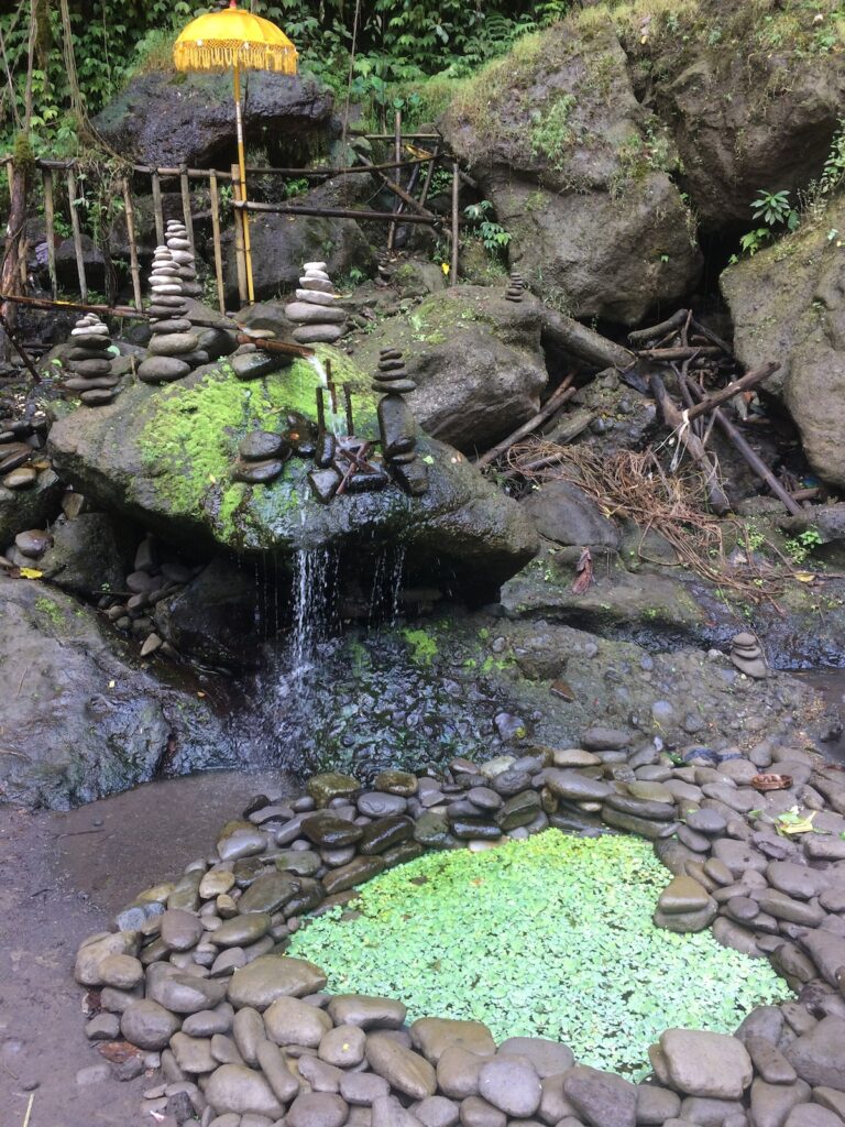 Dettagli dell'arte balinese