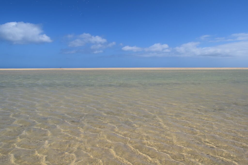 fuerteventura-sotovento-playa Piscina naturale creata dalla bassa marea a Playa Sotovento