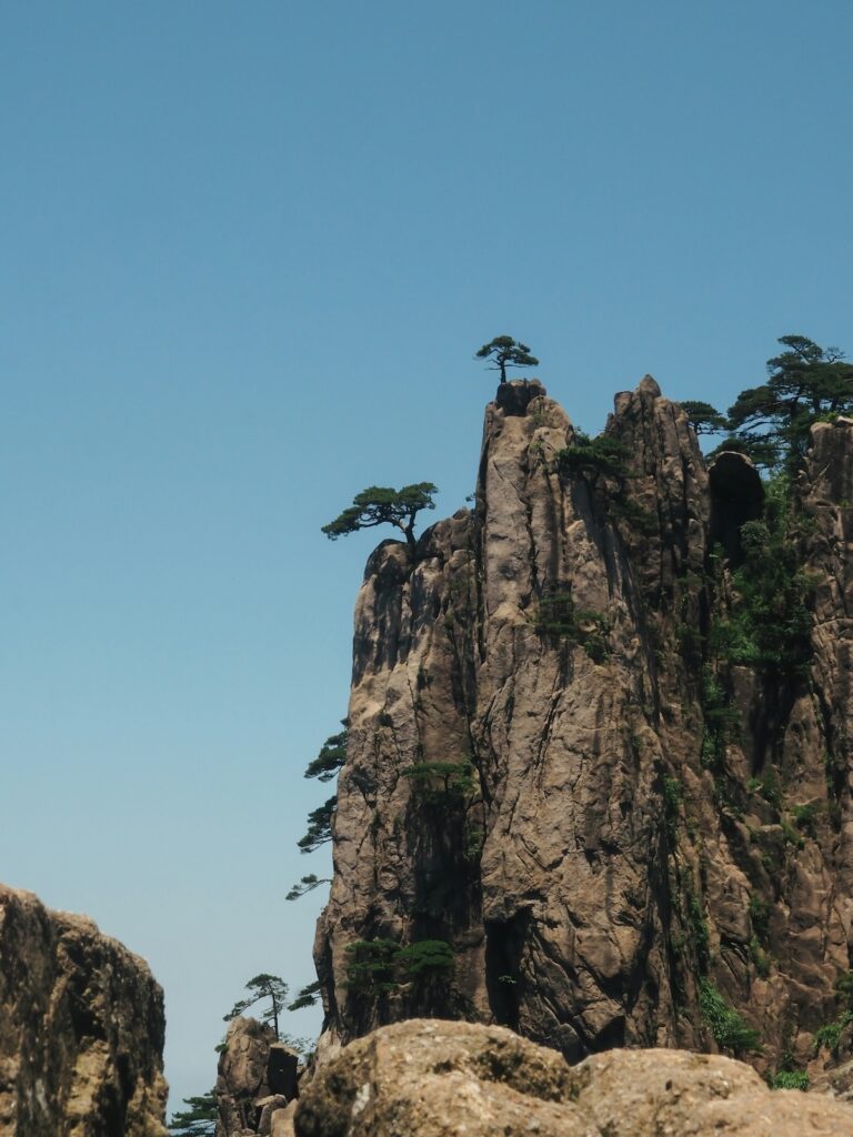 Alberi appesi alle roccie nelle Huagshan Mountains