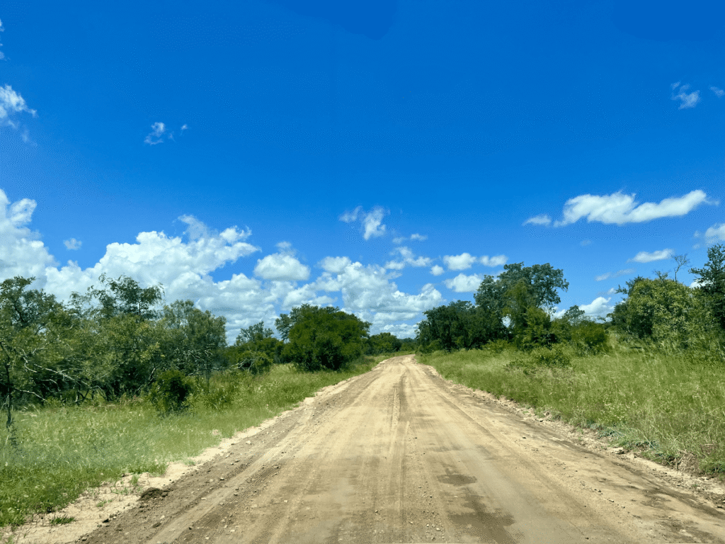 Strada sterrata Kruger