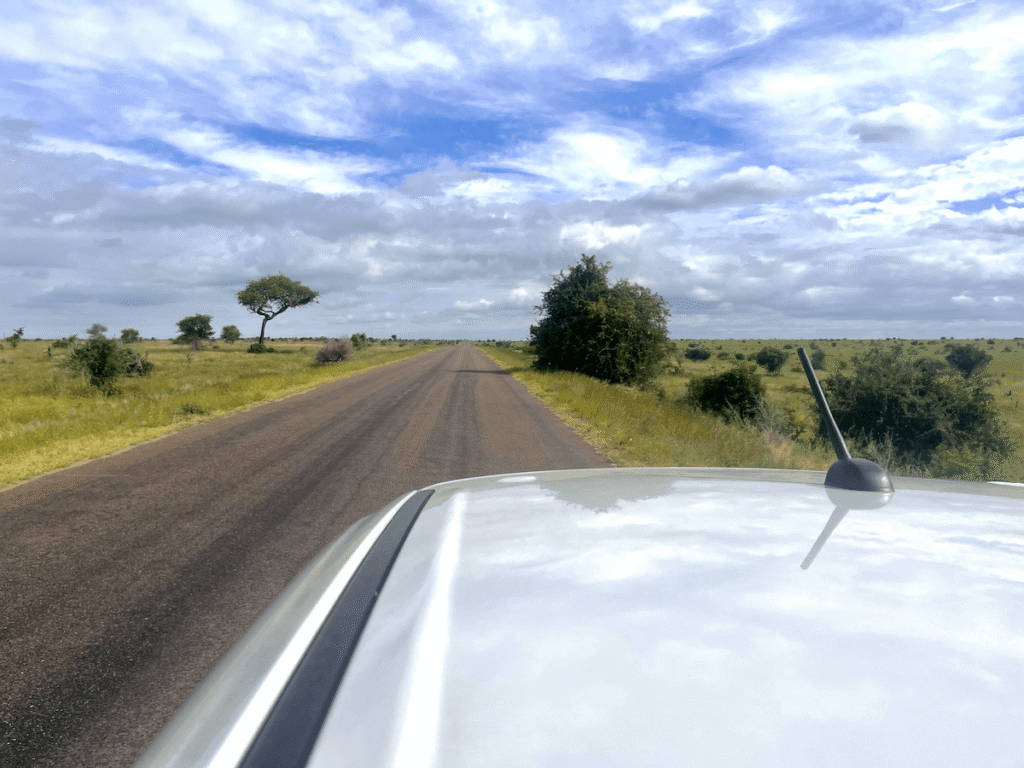 Strada asfaltata Kruger