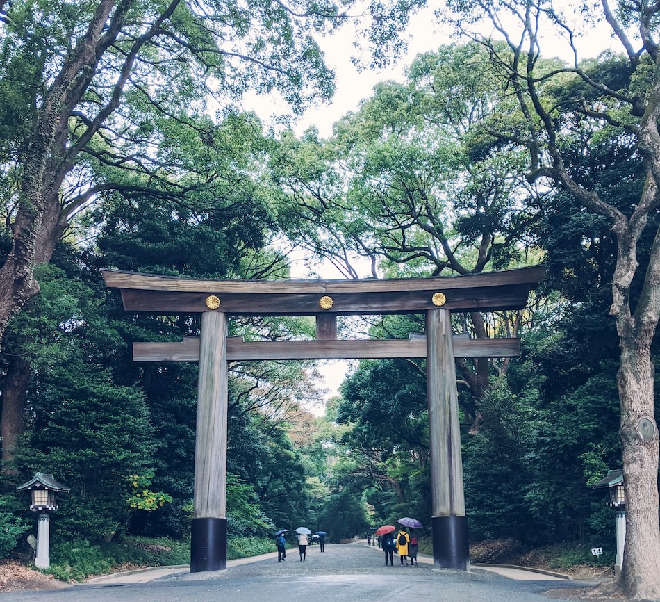 Maestoso Torii all'ingresso del santuario Meiji
