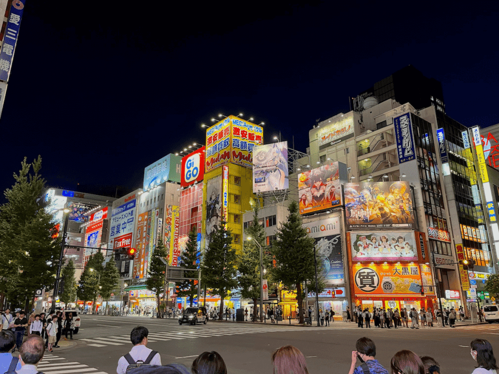 Quartiere di Akihabara di sera