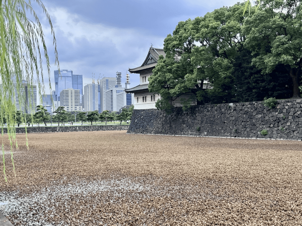 Scorcio del palazzo imperiale: modernità e storia in una sola immagine