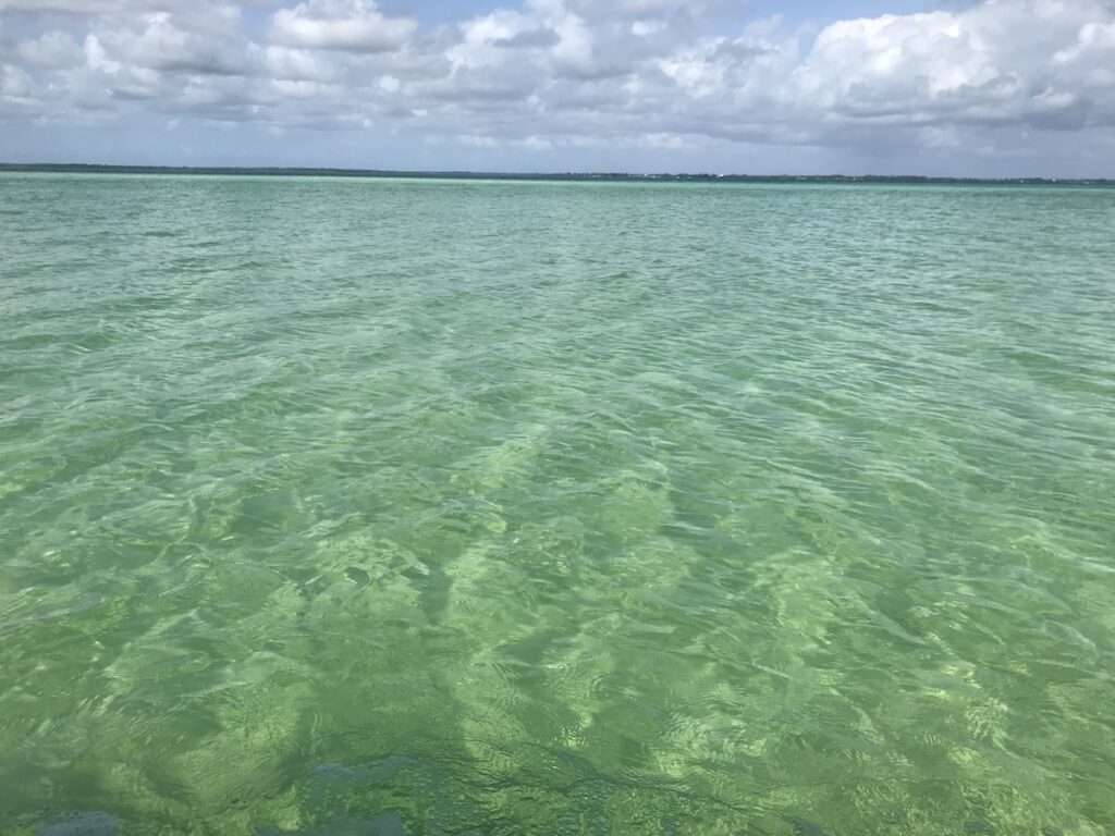 Come cambia colore l'acqua di Zanbar: smeraldo trasparente