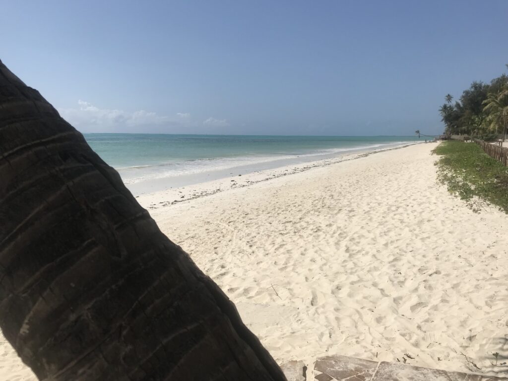 Spiaggia oceanica deseerta di Paje a Zanzibar