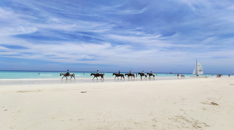 cavalli al galoppo sulla spiaggia di zanzibar